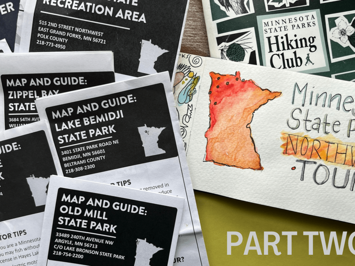 NW Minnesota State Park Tour | Lake Bronson + Hayes Lake + Zippel Bay + Lake Bemidji!
